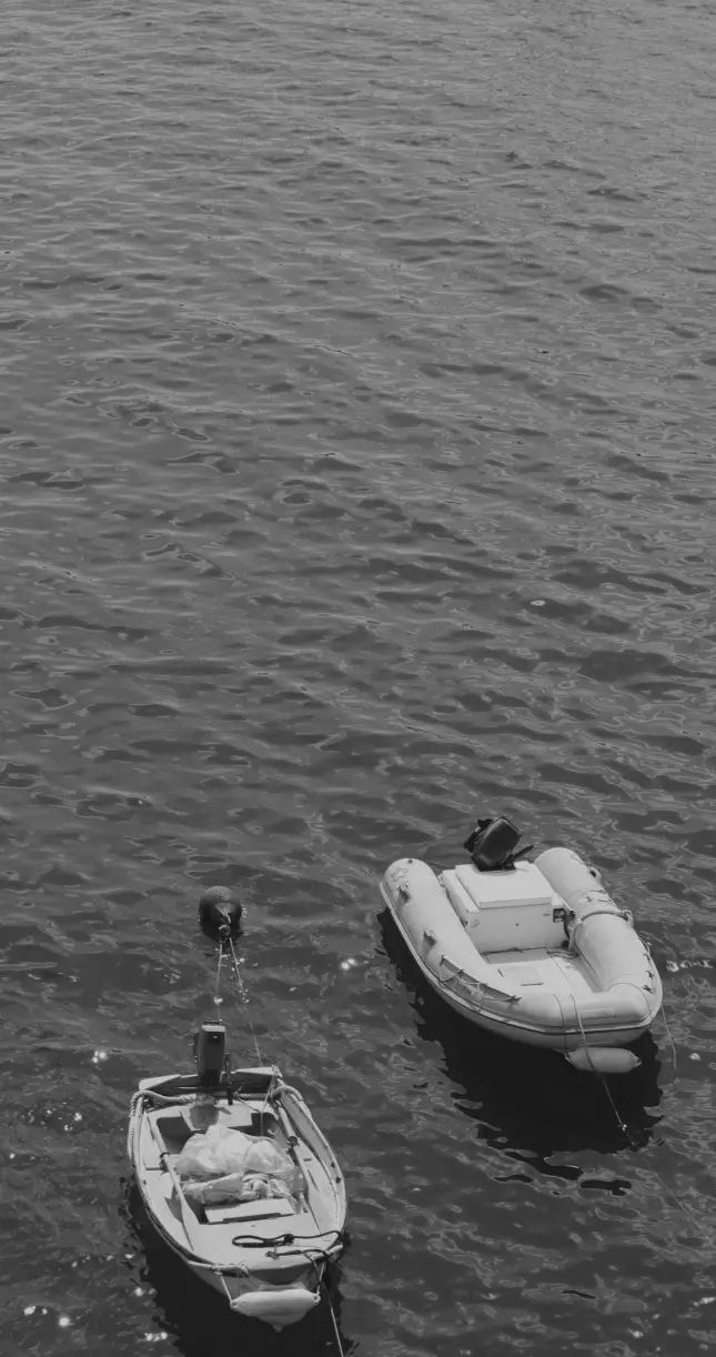 Our History & Commitments