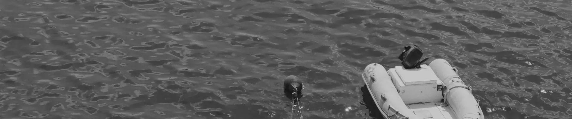 Our History & Commitments